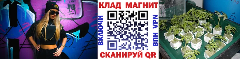 Купить наркотик Шацк A PVP  МАРИХУАНА  Меф  Гашиш 