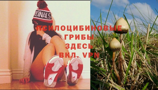 гидропоника Алексин