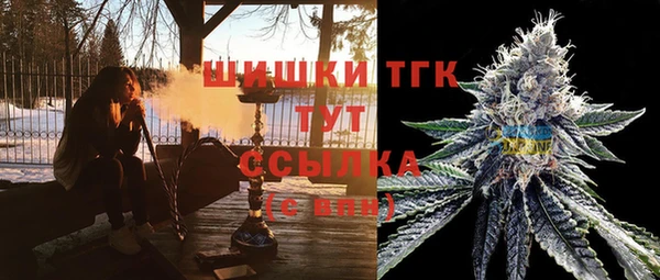гашик Алзамай