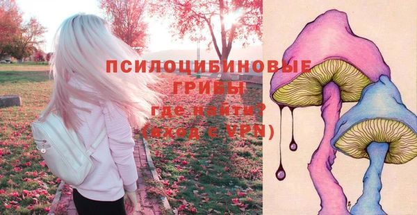 гидропоника Алексин