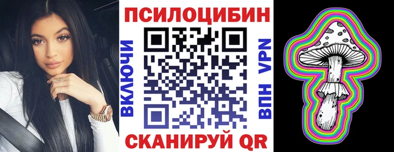 Псилоцибиновые грибы мицелий  Шацк 