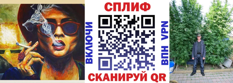 Бошки марихуана MAZAR  ОМГ ОМГ ТОР  Шацк 